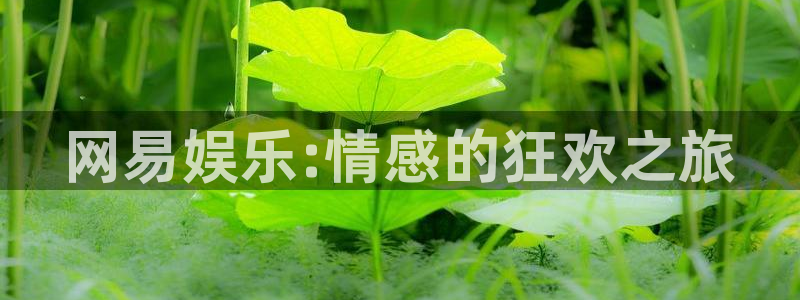 成都人生就是搏电子有限公司