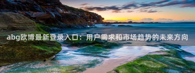 人生就是搏登陆：abg欧博最新登录入口：用户需求和市场趋势的未来方向