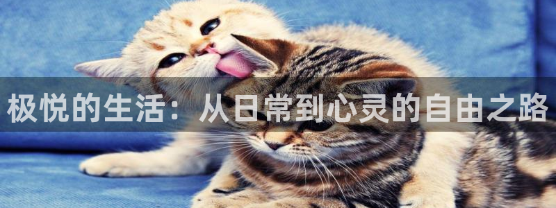 人生就是搏平台在线注册：极悦的生活：从日常到心灵的自由之路
