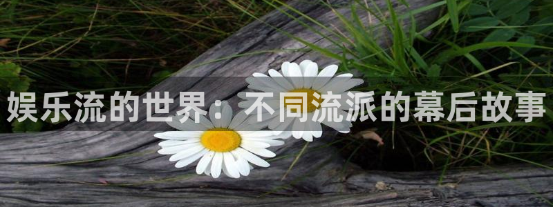 人生就是搏3登录：娱乐流的世界：不同流派的幕后故事