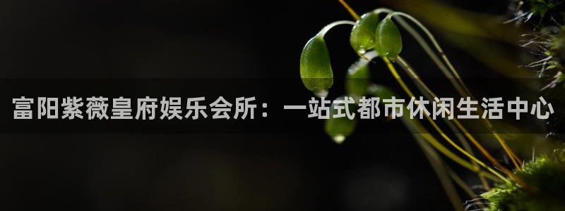 人生就是搏2登录入口：富阳紫薇皇府娱乐会所：一站式都市休闲生活中心