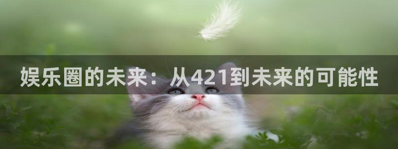 人生就是搏2登录地址：娱乐圈的未来：从421到未来的可能性