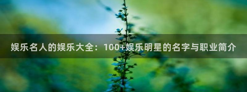 人生就是搏k：娱乐名人的娱乐大全：100+娱乐明星的名字与职业简介