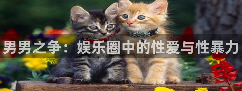 人生就是搏凯捷平台注册链接：男男之争：娱乐圈中的性爱与性暴力