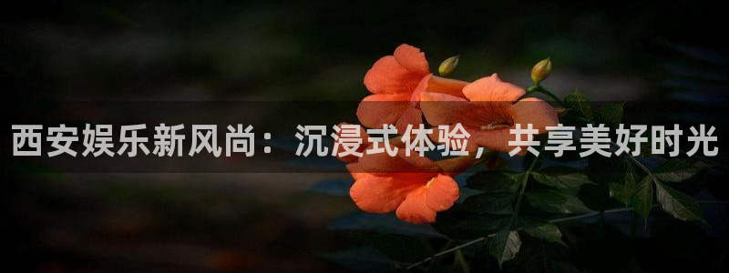 人生就是搏体育官网注册：西安娱乐新风尚：沉浸式体验，共享美好时光