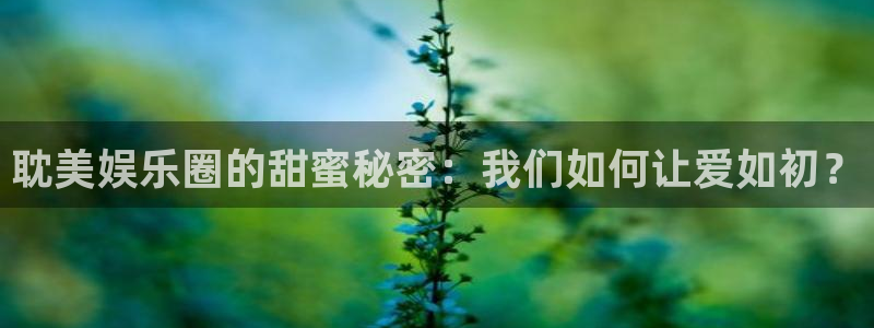 人生就是搏电子有限公司：耽美娱乐圈的甜蜜秘密：我们如何让爱如初？