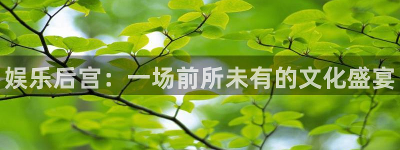 人生就是搏体育官网入口登录：娱乐后宫：一场前所未有的文化盛宴
