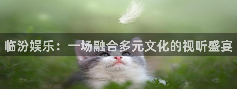 人生就是搏凯捷注册：临汾娱乐：一场融合多元文化的视听盛宴