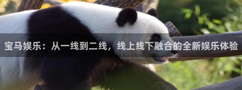 人生就是搏体育注册平台：宝马娱乐：从一线到二线，线上线下融合的全新娱乐体验