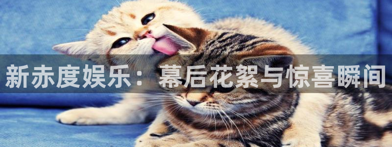 人生就是搏体育官网入口登录：新赤度娱乐：幕后花絮与惊喜瞬间