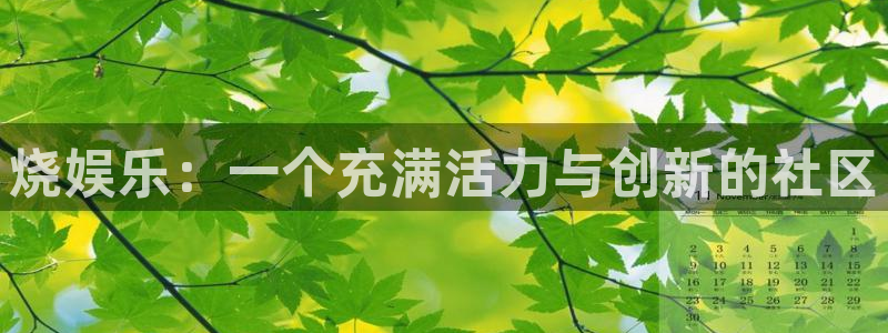 人生就是搏体育平台登录入口：烧娱乐：一个充满活力与创新的社区