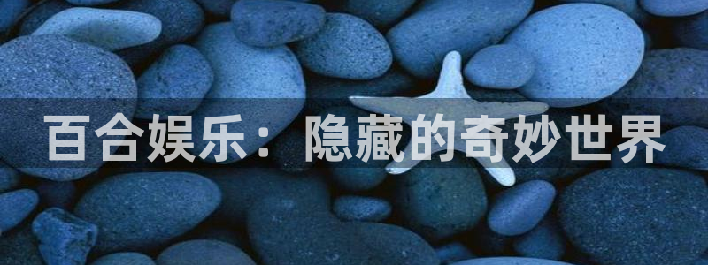 人生就是搏体育凯捷平台招商：百合娱乐：隐藏的奇妙世界