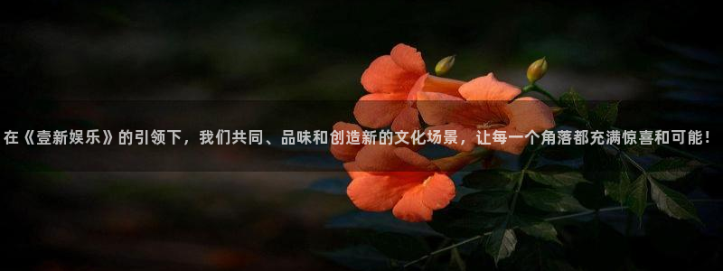 人生就是搏体育在线注册：在《壹新娱乐》的引领下，我们共同、品味和创造新的文化场景