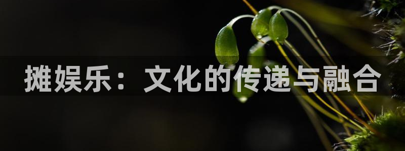 人生就是搏集团股票：摊娱乐：文化的传递与融合