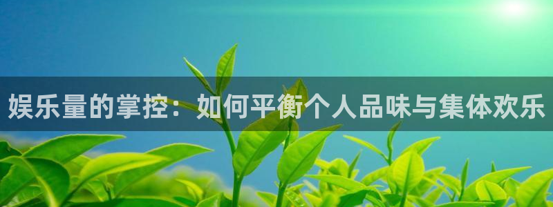 人生就是搏3代理：娱乐量的掌控：如何平衡个人品味与集体欢乐