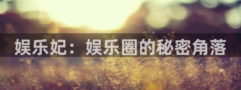人生就是搏体育用品：娱乐妃：娱乐圈的秘密角落