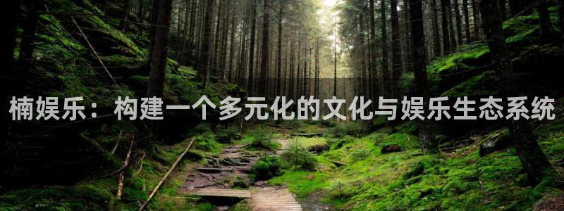 人生就是搏4：楠娱乐：构建一个多元化的文化与娱乐生态系统