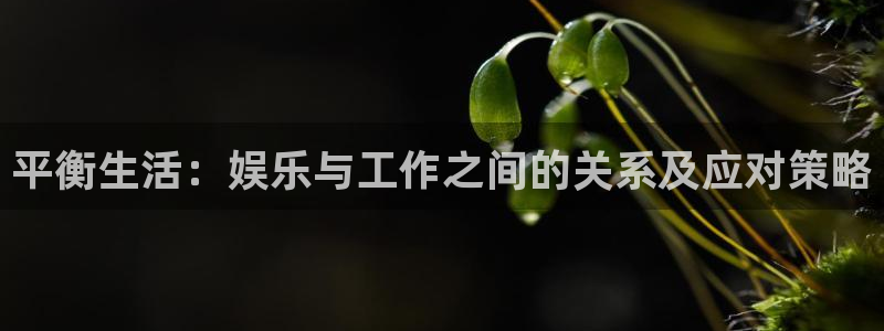 人生就是搏体育游戏：平衡生活：娱乐与工作之间的关系及应对策略